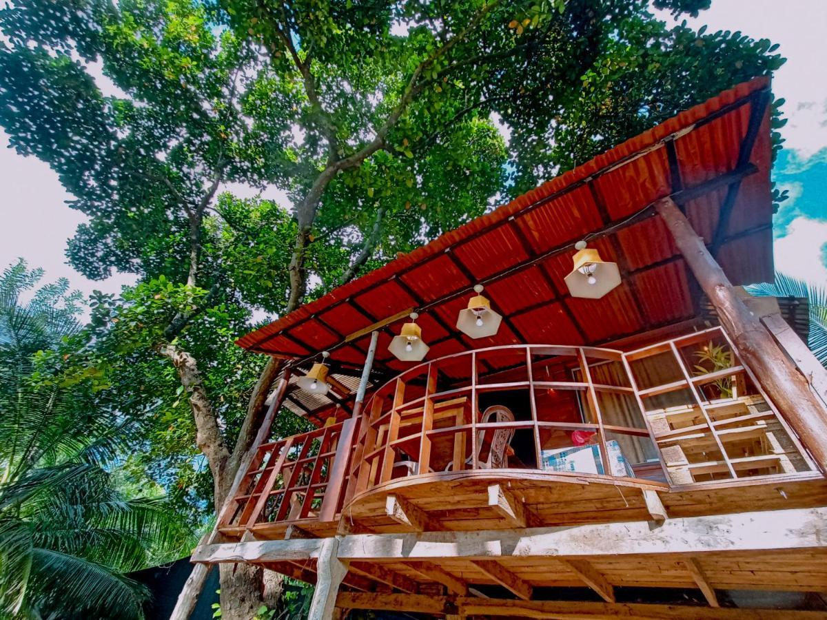Experience The Comforts Of An Amazing Treehouse Сігірія Екстер'єр фото