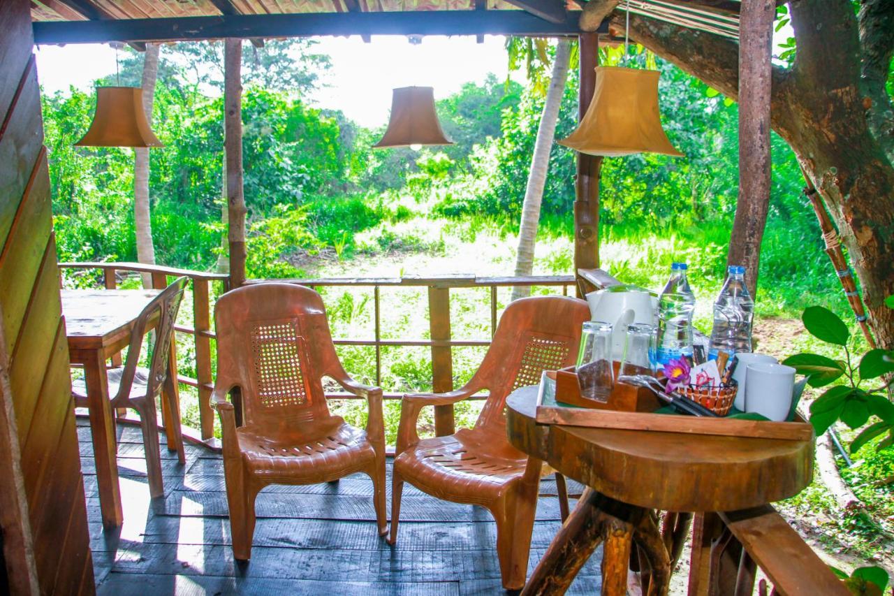 Experience The Comforts Of An Amazing Treehouse Сігірія Екстер'єр фото