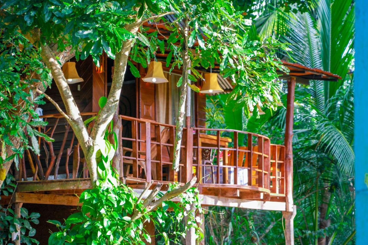 Experience The Comforts Of An Amazing Treehouse Сігірія Екстер'єр фото